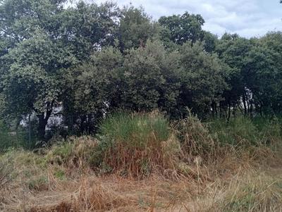 Terrain constructible - 499 m²