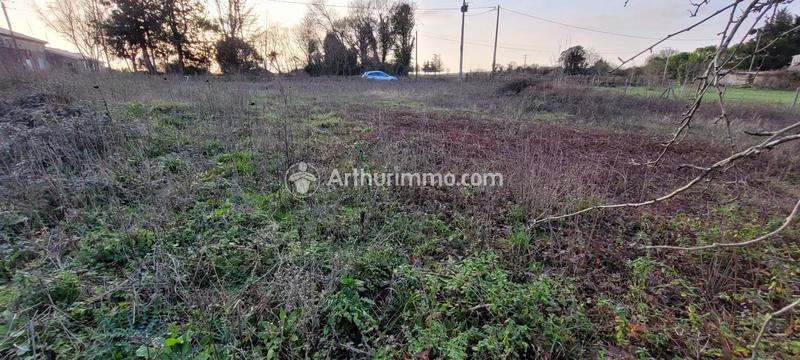 Terrain - 504 m²