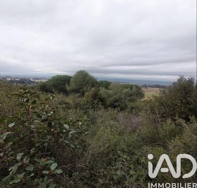 Terrain - 4 965 m²