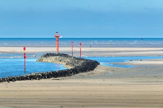 Sortie nature : découverte de l'Estran