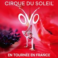 Cirque du Soleil - Ovo - Tournée