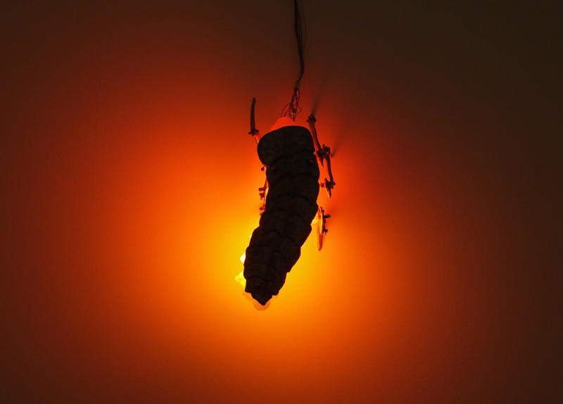 Outrenuit - Apolline Grivelet