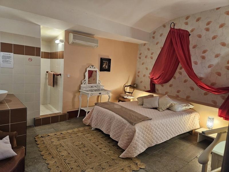 Maison bourgeoise - 320 m² - 12 pièces