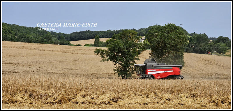 Propriété - 860 m² - 1 pièce