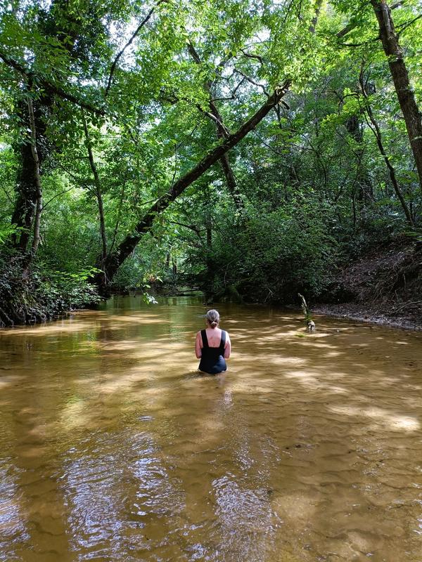 Maison - 575 m² - 16 pièces