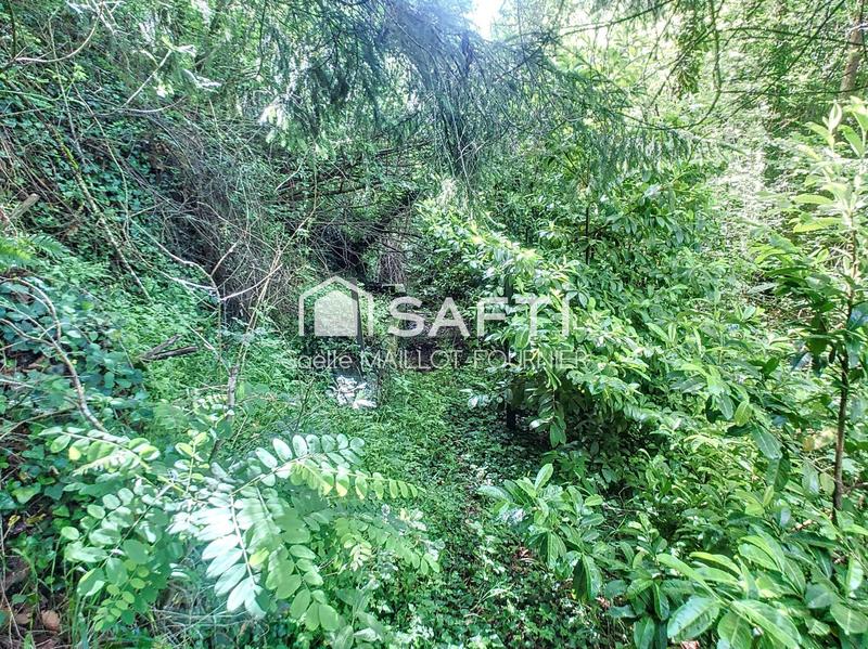 Maison - 237 m² - 12 pièces