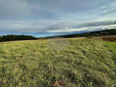 Terrain - 5 000 m²