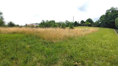 Terrain constructible - 2 970 m²