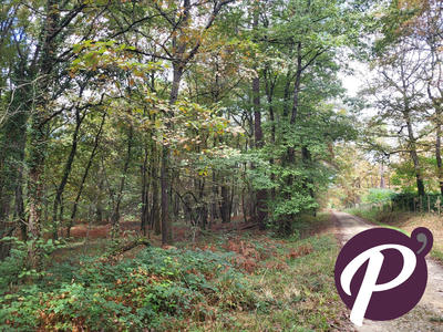 Terrain de loisirs - 151 213 m²