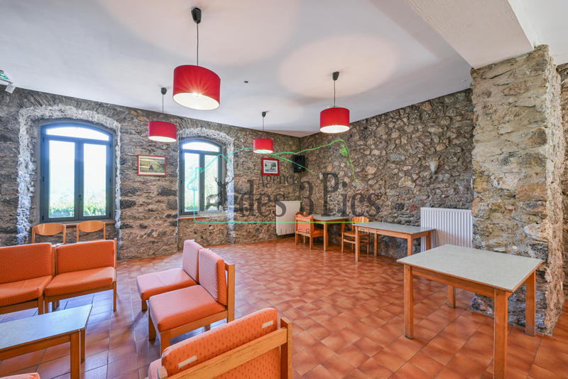 Château - 1 000 m² - 35 pièces