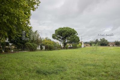 Terrain - 1 238 m²