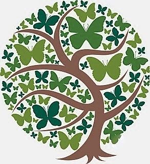 Sandrine Caussieu Sophrologue Energéticienne