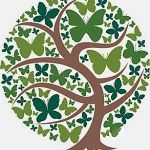 Sandrine Caussieu Sophrologue Energéticienne