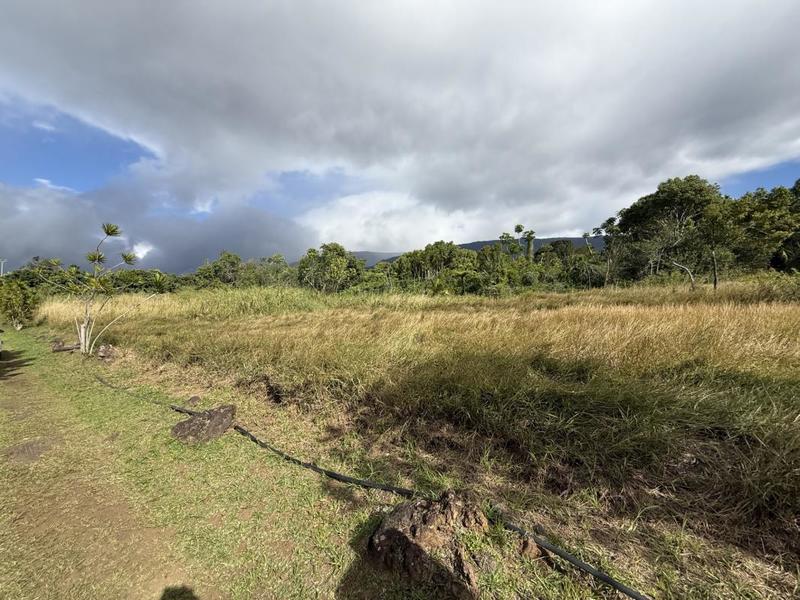 Propriété - 245 m² - 9 pièces