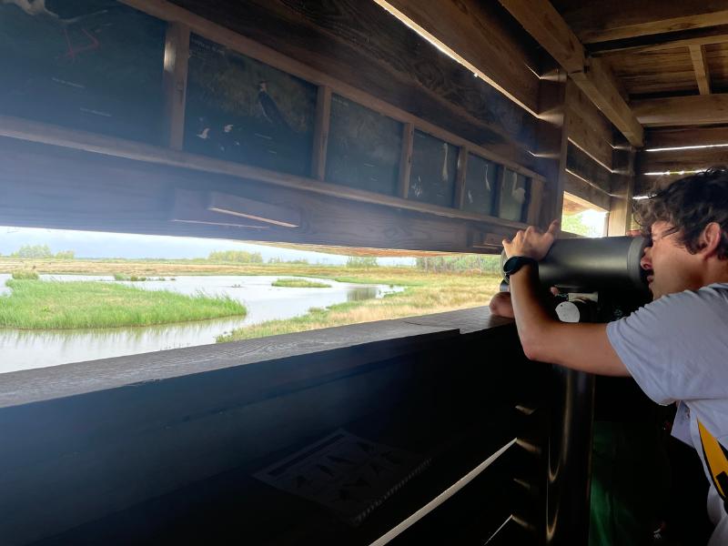 Balade en calèche à Terres d'Oiseaux