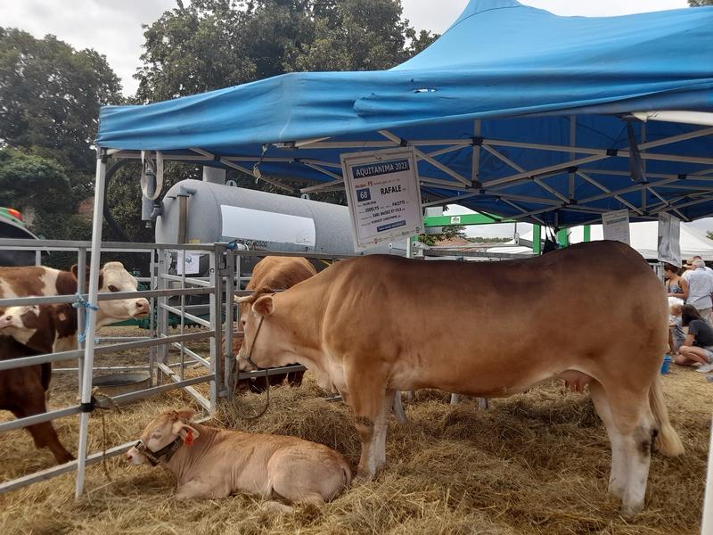Grande Foire Agricole