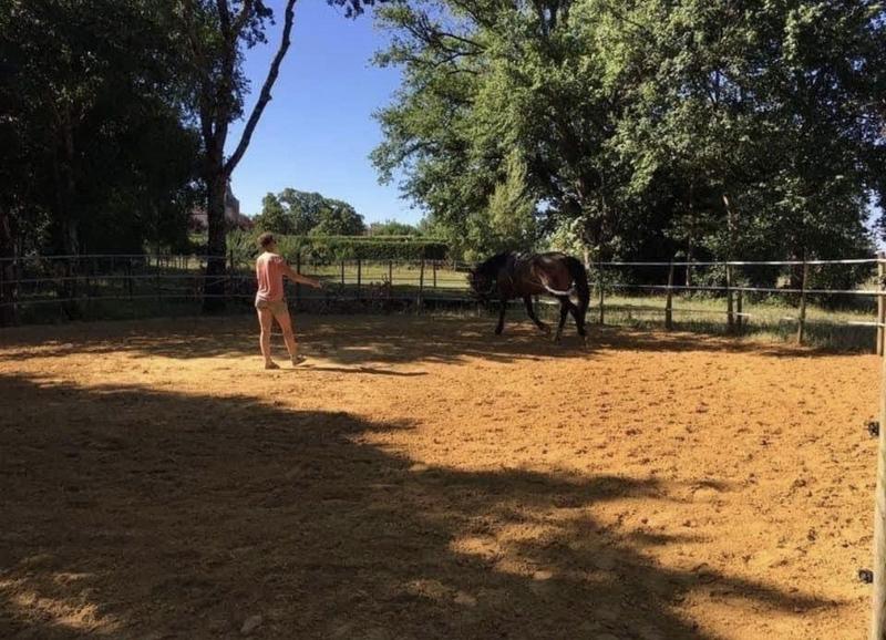 Maison - 226 m² - 8 pièces