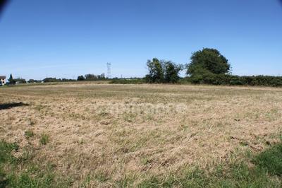 Terrain constructible - 3 553 m²