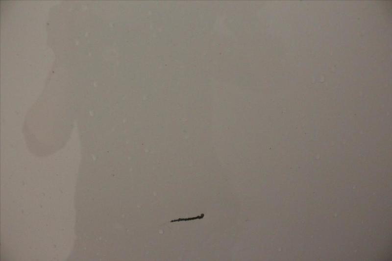 Volkswagen Transporter Procab L1 2.0 Tdi 204 Dsg7 4motion Edition 30