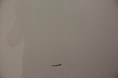 Volkswagen Transporter Procab L1 2.0 Tdi 204 Dsg7 4motion Edition 30