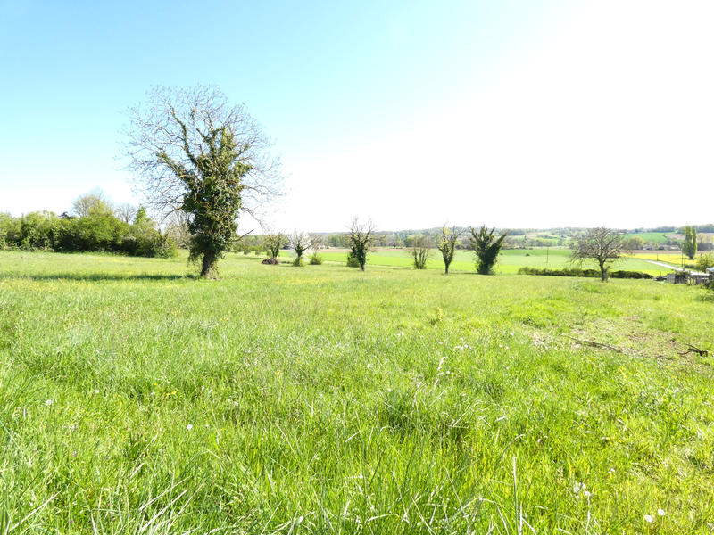 Terrain - 12 124 m²