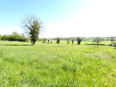 Terrain - 12 124 m²