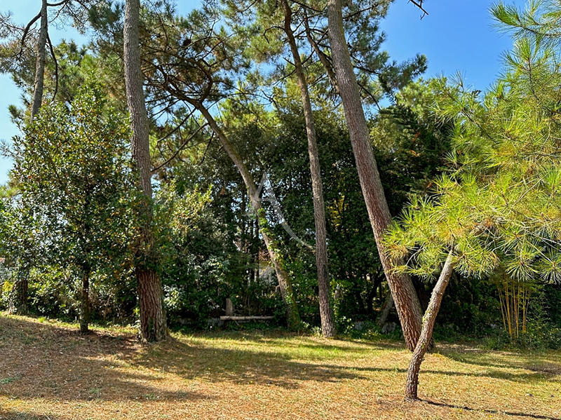 Maison - 67 m² - 3 pièces