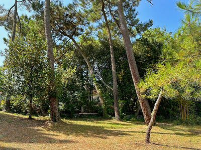 Maison - 67 m² - 3 pièces