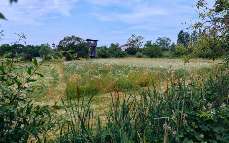 Rendez-vous nature : à la découverte de la nature