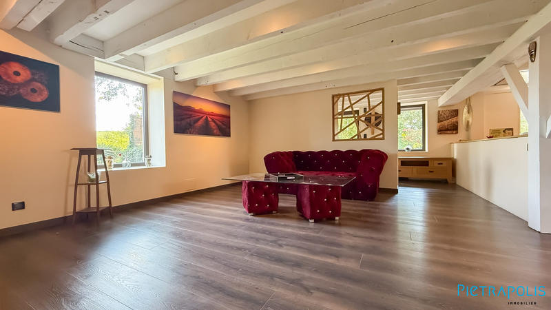 Maison ancienne - 270 m² - 9 pièces