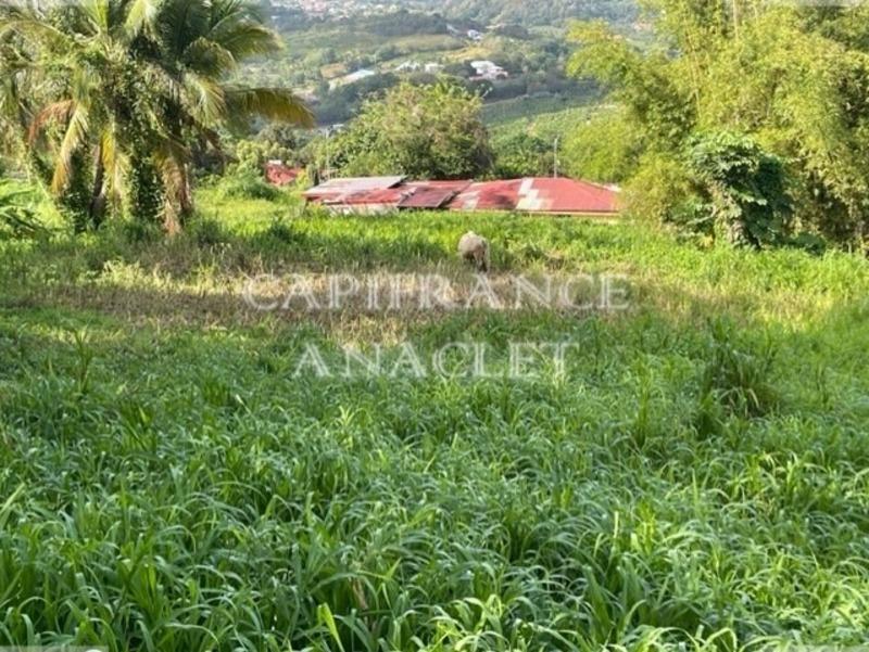 Terrain constructible - 1 187 m²