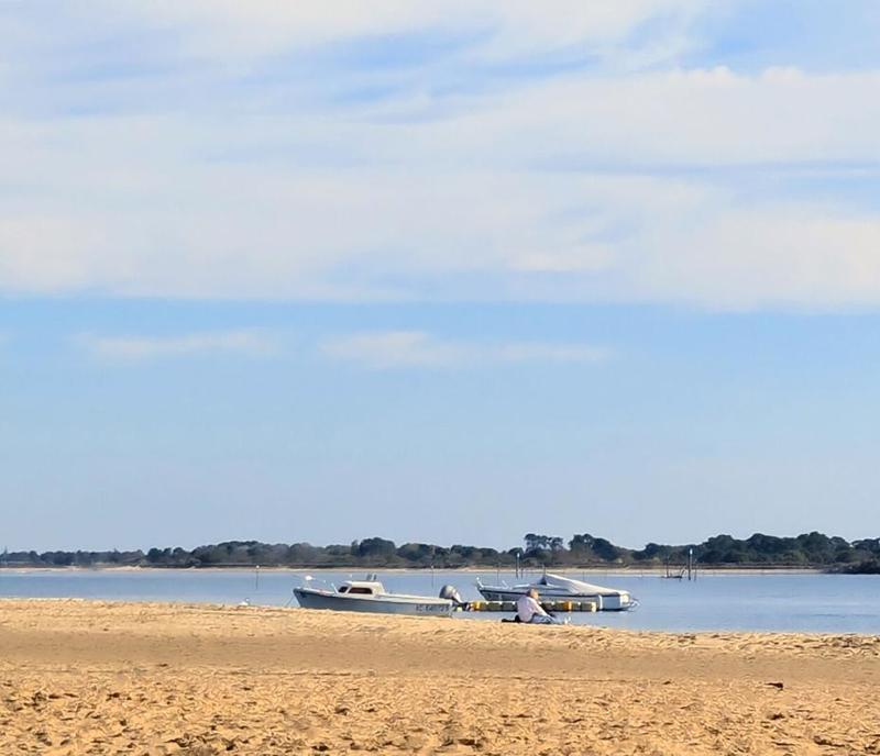 Appartement - 28 m² - 2 pièces