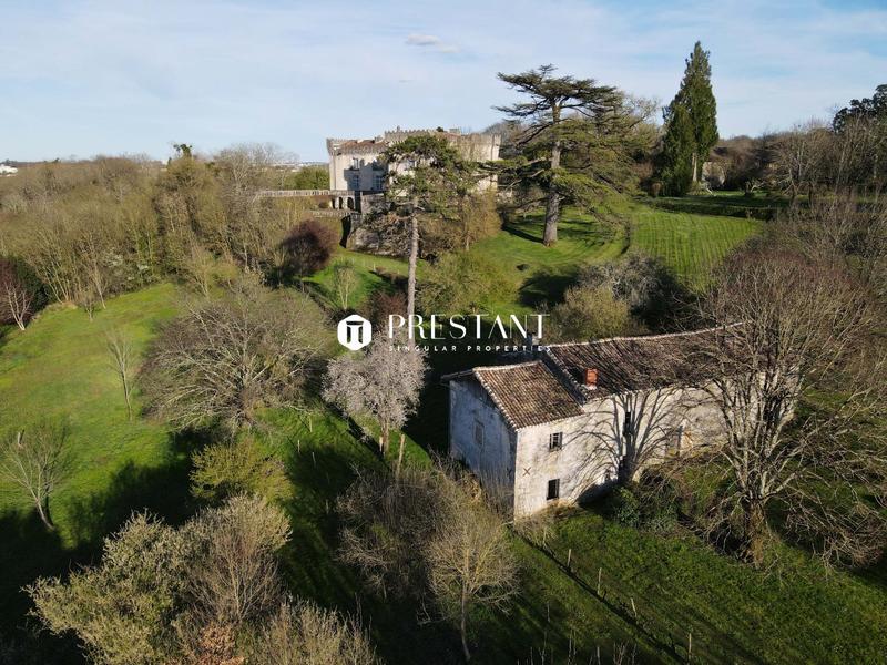 Château - 514 m² - 11 pièces