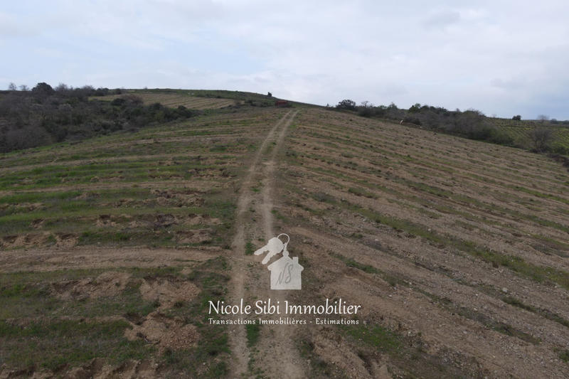 Terrain agricole - 40 428 m²