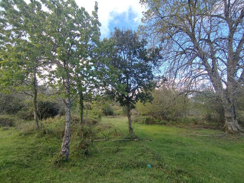 Terrain constructible - 3 000 m²