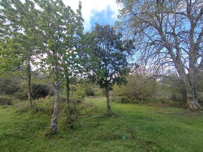 Terrain constructible - 3 000 m²