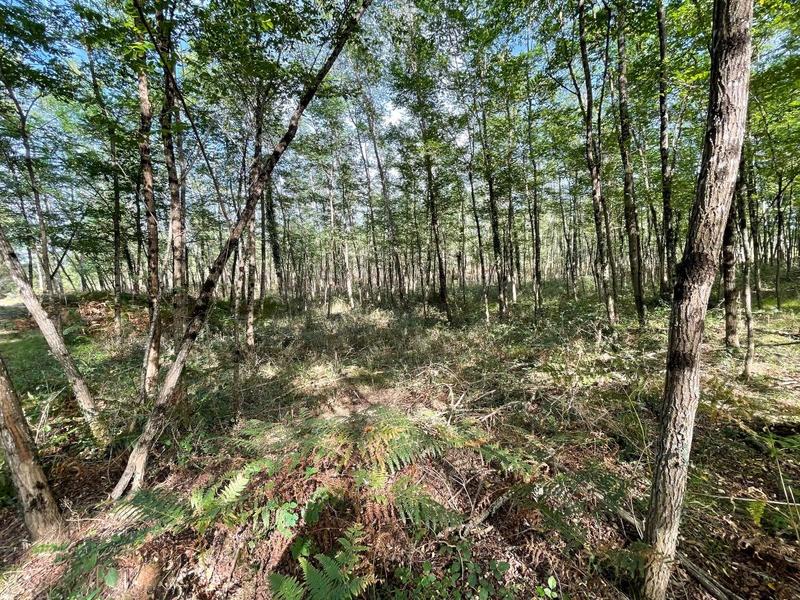 Terrain - 34 718 m²