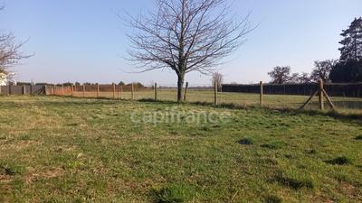 Terrain constructible - 1 579 m²