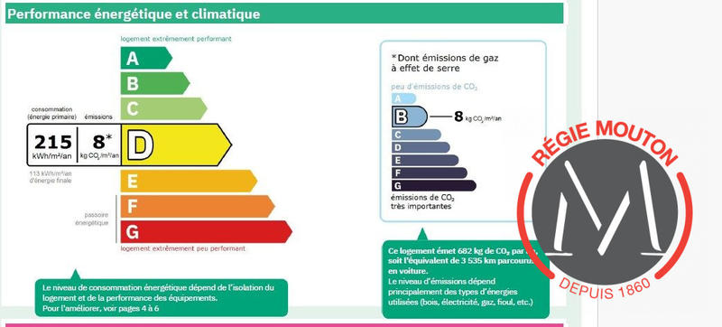 Appartement - 81 m² - 3 pièces