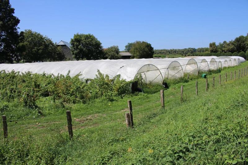 Château - 1 800 m² - 37 pièces