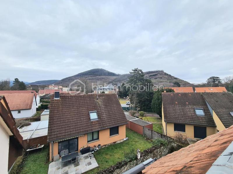 Appartement - 54 m² - 2 pièces