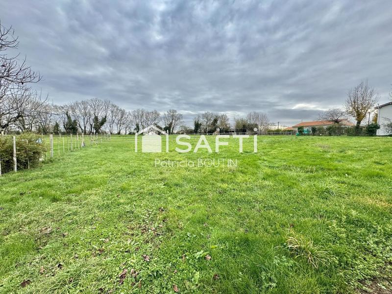 Terrain - 1 598 m²