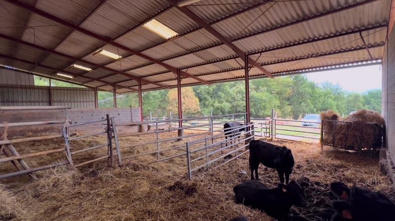 Propriété - 100 m² - 5 pièces