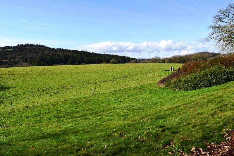 Maison - 245 m² - 10 pièces