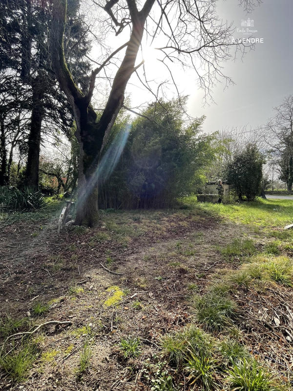 Maison - 167 m² - 4 pièces