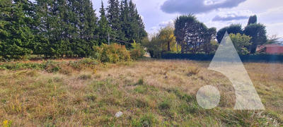Terrain - 1 117 m²