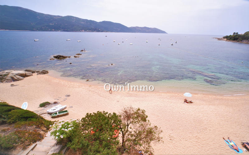 Appartement - 31 m² - 1 pièce