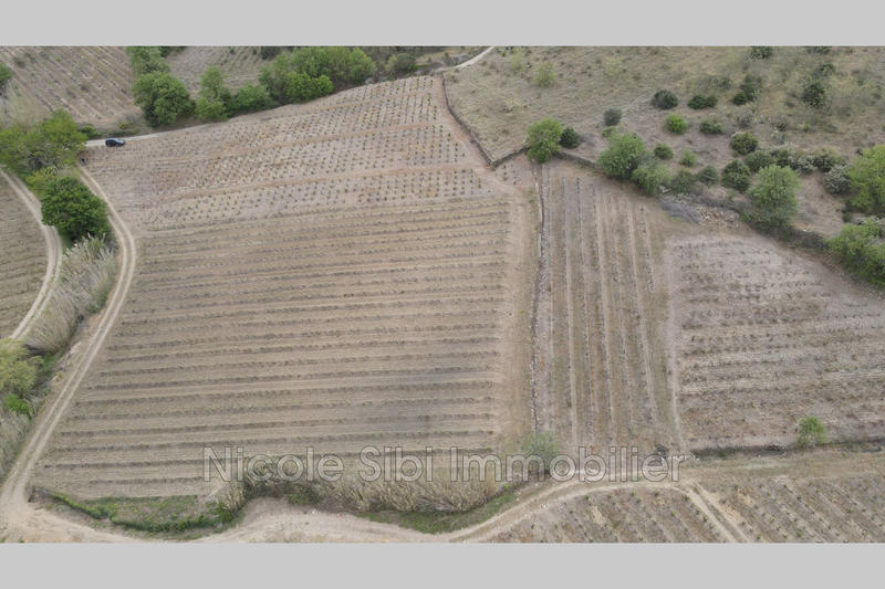 Terrain agricole - 20 250 m²