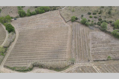 Terrain agricole - 20 250 m²