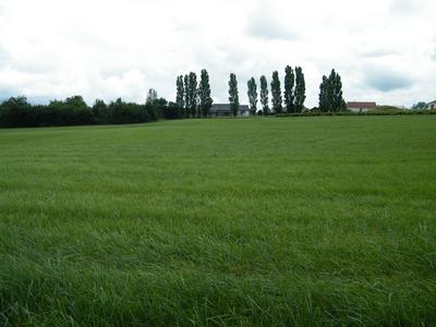 Terrain - 3 560 m²